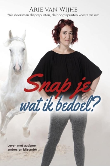 Afbeelding van Snap je wat ik bedoel?