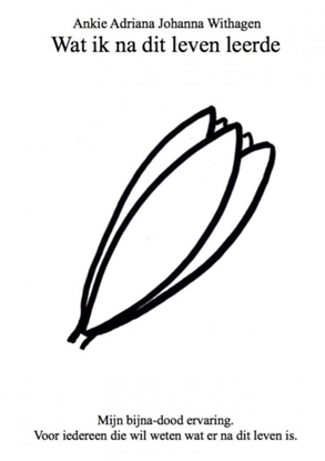 Afbeeldingen van Wat ik na dit leven leerde