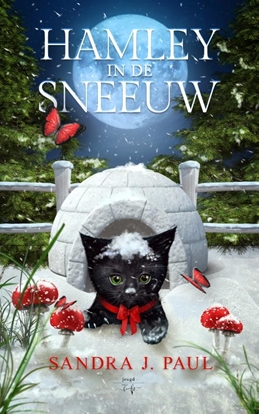 Afbeeldingen van Hamley, het zwarte katje Hamley in de Sneeuw