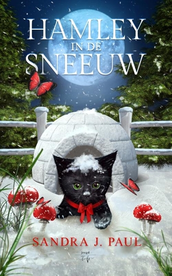 Afbeelding van Hamley, het zwarte katje Hamley in de Sneeuw