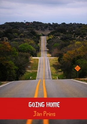 Afbeeldingen van Going home
