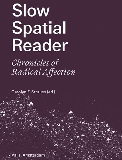 Afbeelding van Slow Spatial Reader