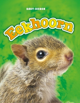 Afbeeldingen van Baby-dieren Eekhoorn