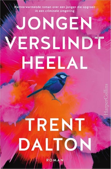 Afbeelding van Jongen verslindt heelal