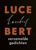 Afbeelding van Lucebert
