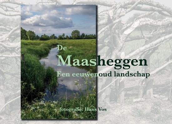 Afbeelding van Maasheggen
