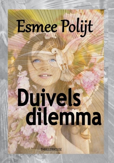Afbeelding van Duivels dilemma
