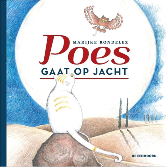 Afbeelding van Poes gaat op jacht