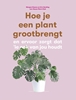Afbeelding van Hoe je een plant grootbrengt