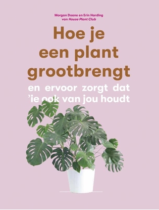 Afbeeldingen van Hoe je een plant grootbrengt