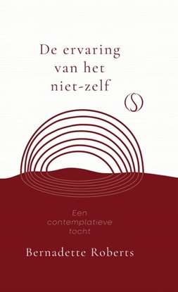 Afbeeldingen van De ervaring van het niet-zelf