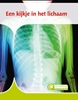 Afbeelding van Junior Informatie Een kijkje in het lichaam