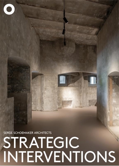 Afbeelding van Strategic Interventions