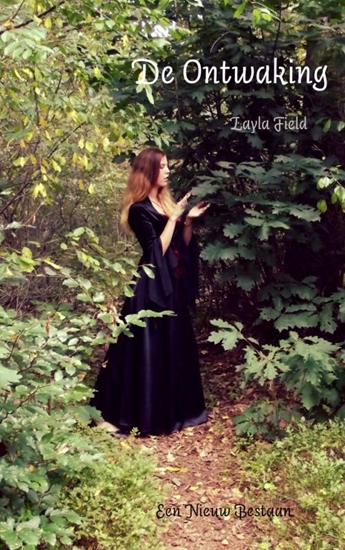 Afbeelding van De ontwaking