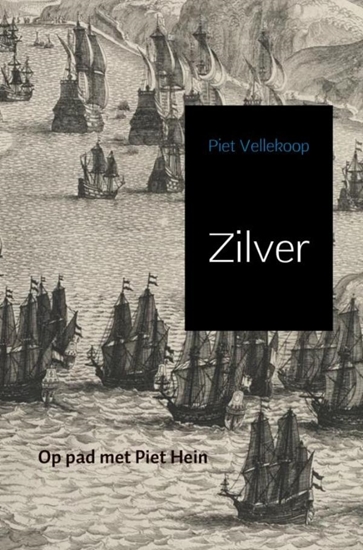 Afbeelding van Zilver