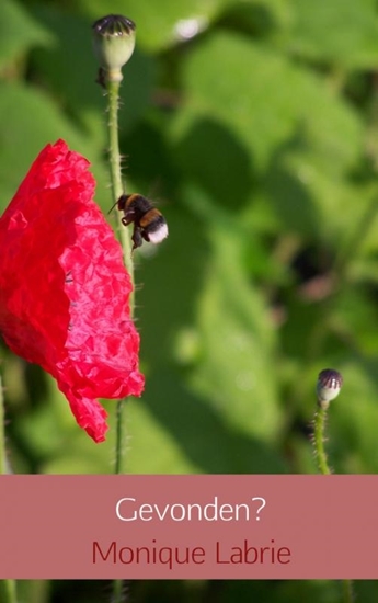 Afbeelding van Gevonden?