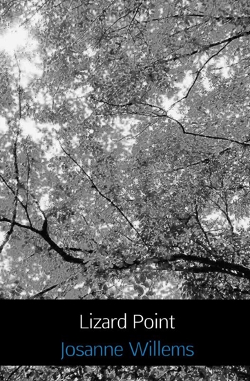 Afbeelding van Lizard Point