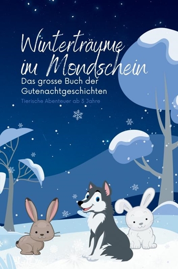 Afbeelding van Winterträume im Mondschein