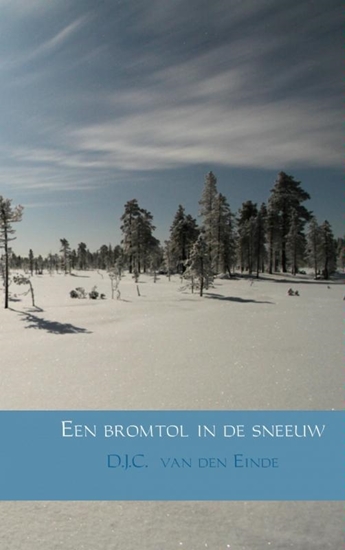 Afbeelding van Een bromtol in de sneeuw