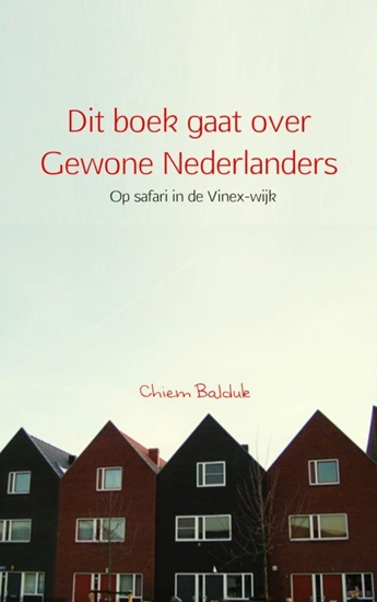 Afbeelding van Dit boek gaat over gewone Nederlanders