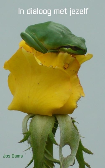 Afbeelding van In dialoog met jezelf