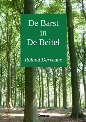 Afbeeldingen van De Barst in De Beitel