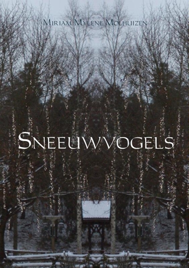 Afbeelding van Sneeuwvogels
