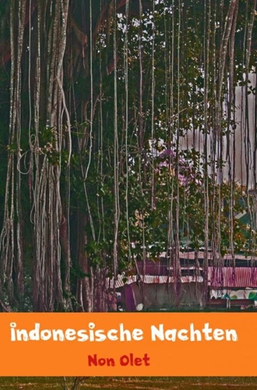Afbeelding van Indonesische nachten