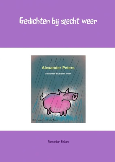 Afbeelding van Gedichten bij slecht weer