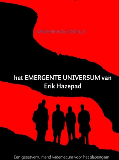 Afbeelding van het Emergente Universum van Erik Hazepad