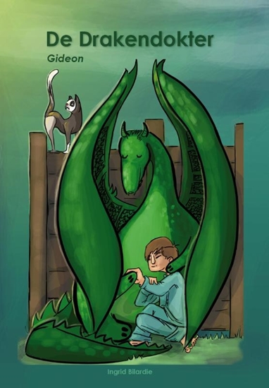 Afbeelding van De Drakendokter De Drakendokter