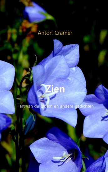 Afbeelding van Zien