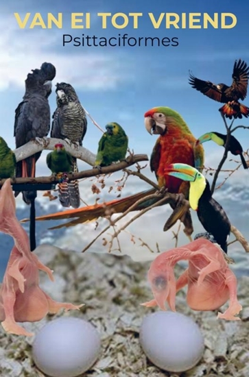 Afbeelding van Van ei tot vriend: Psittaciformes