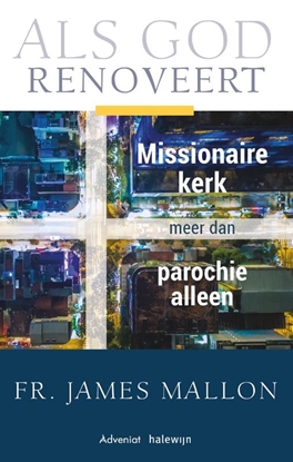 Afbeeldingen van Als God renoveert, Missionaire kerk meer dan de parochie alleen