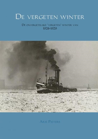 Afbeelding van De vergeten winter