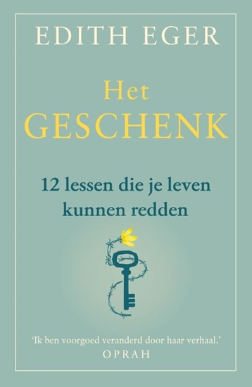 Afbeelding van Het geschenk