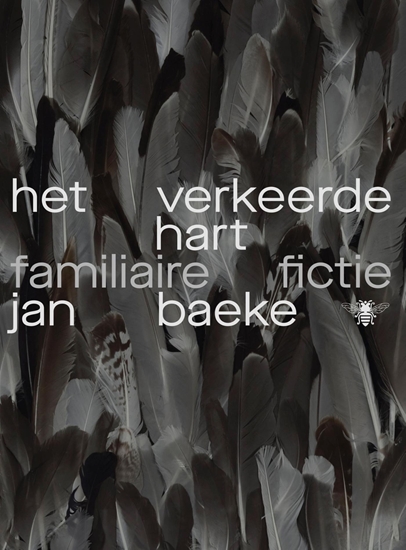 Afbeelding van Het verkeerde hart