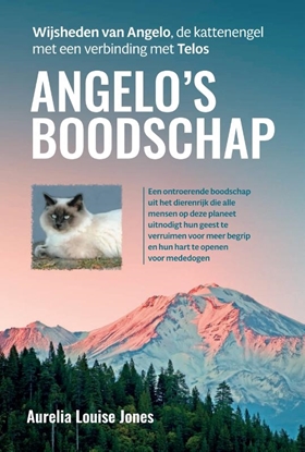 Afbeeldingen van Angelo’s boodschap