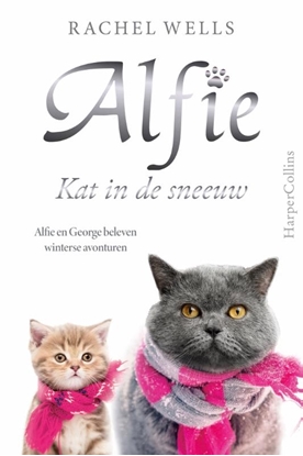 Afbeeldingen van Alfie Kat in de sneeuw