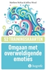 Afbeelding van Omgaan met overweldigende emoties