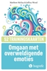 Afbeelding van Omgaan met overweldigende emoties