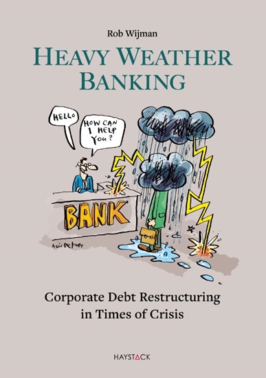 Afbeelding van Heavy Weather Banking