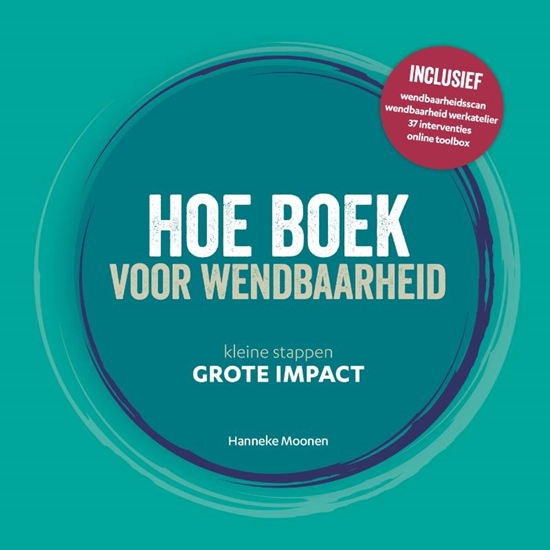 Afbeelding van Hoe boek voor wendbaarheid