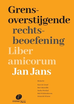 Afbeeldingen van Grensoverstijgende rechtsbeoefening