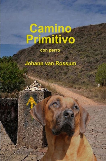 Afbeelding van Camino Primitivo