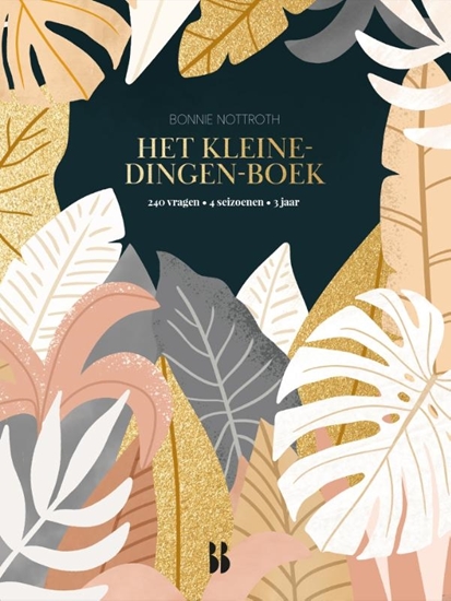 Afbeelding van Het kleine-dingen-boek