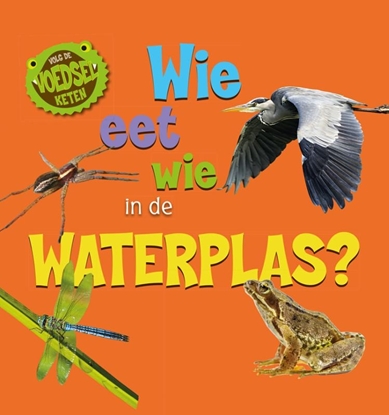 Afbeeldingen van Volg de voedselketen Wie eet wie in de waterplas?