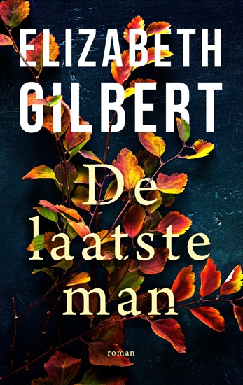 Afbeelding van De laatste man
