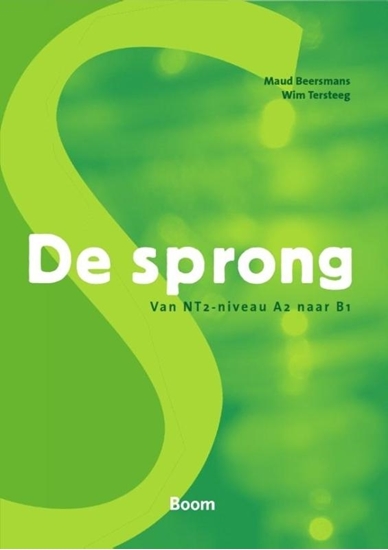 Afbeelding van De sprong