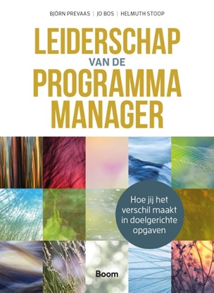 Afbeeldingen van Leiderschap van de programmamanager